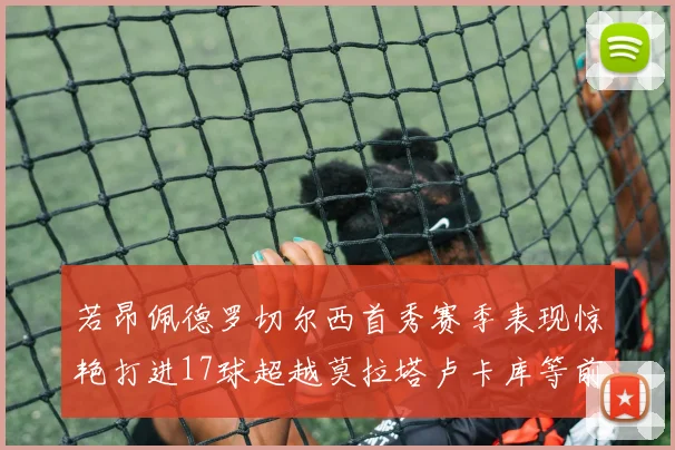 若昂佩德罗切尔西首秀赛季表现惊艳打进17球超越莫拉塔卢卡库等前锋