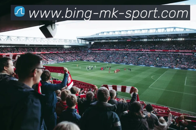 MK体育平台生态图