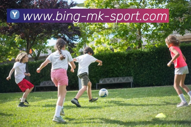 MK体育APP 封面图