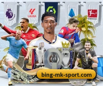 MK体育 APP（mksports）